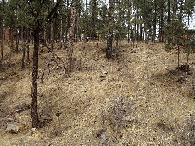 2nd image of 152 Juniper Rd
