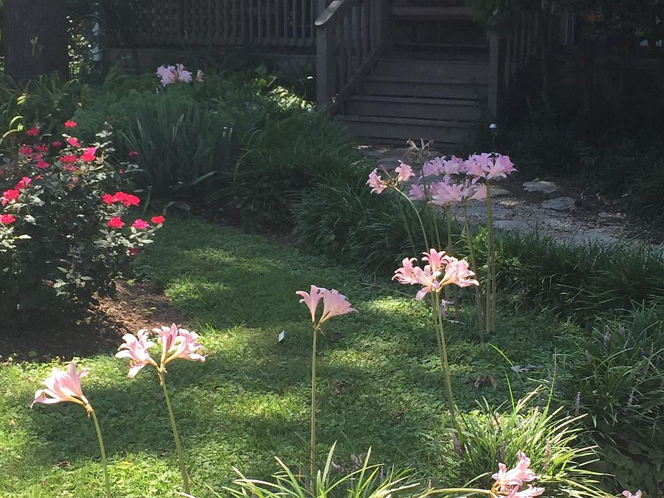 Front porch/ entrance
