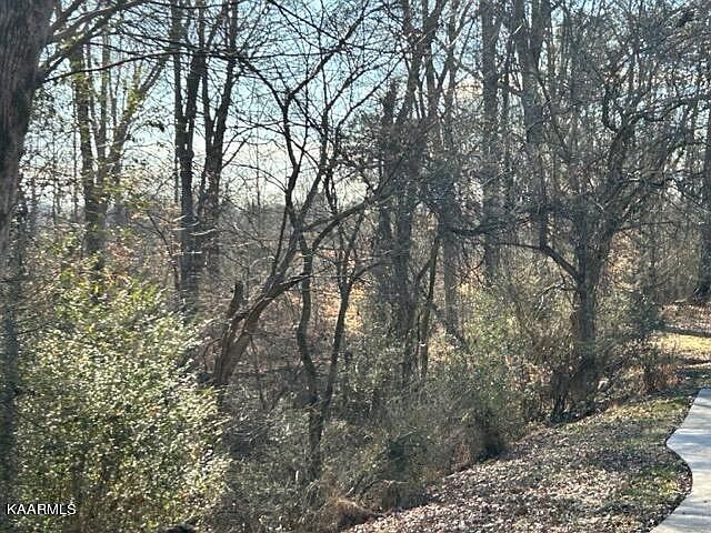 2nd image of 0 Shady Ln Lot 19