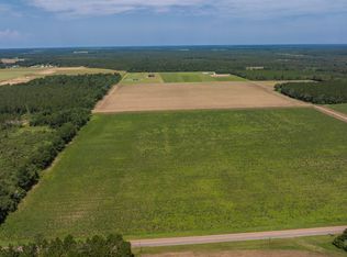 0 Cc Rd LOT 13, Elberta, AL 36530