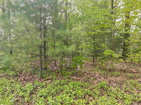 Oakridge Dr, Beaverton, MI 48612