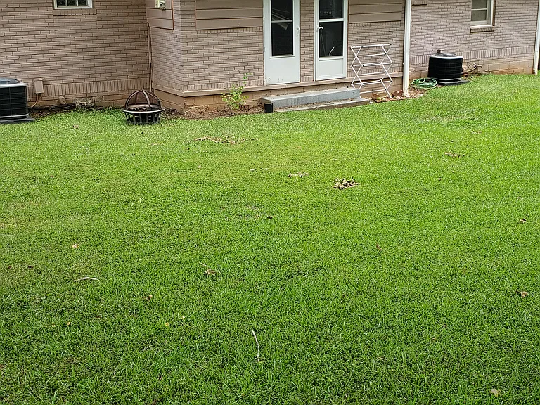 shared back yard