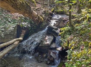 123 Woodland Rd, Banner Elk, NC 28604