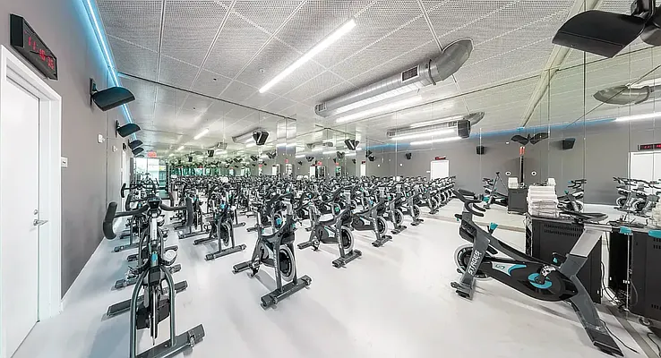 Rented by Platinum Properties | media 27