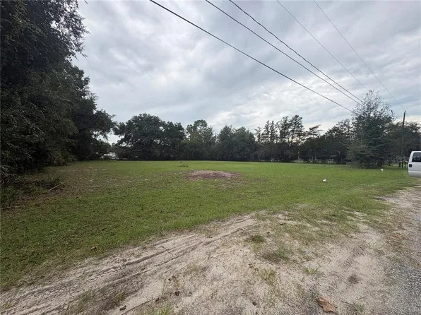 517 ORANGE STREET LOT 10, WELAKA, FL 32193