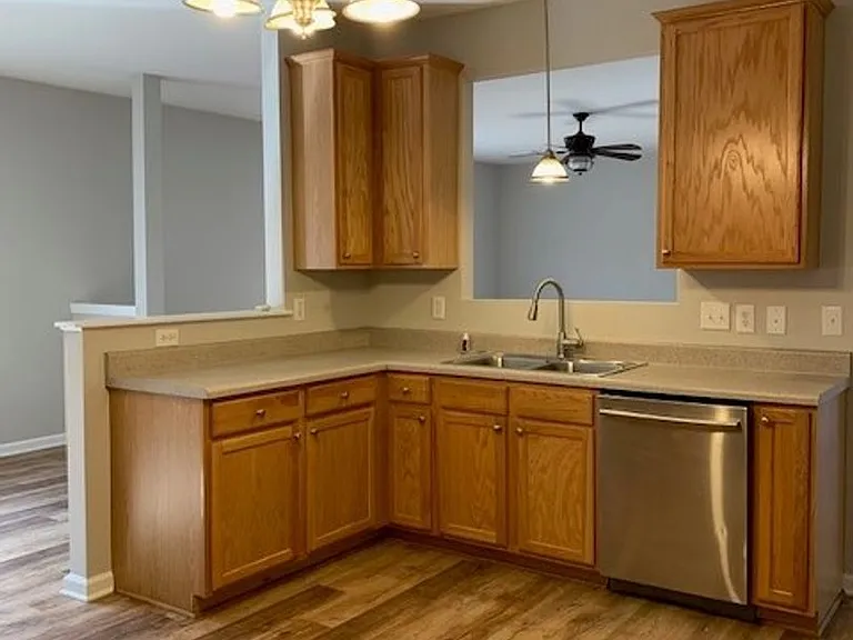 213 Carolina Town Ln — Photo 3