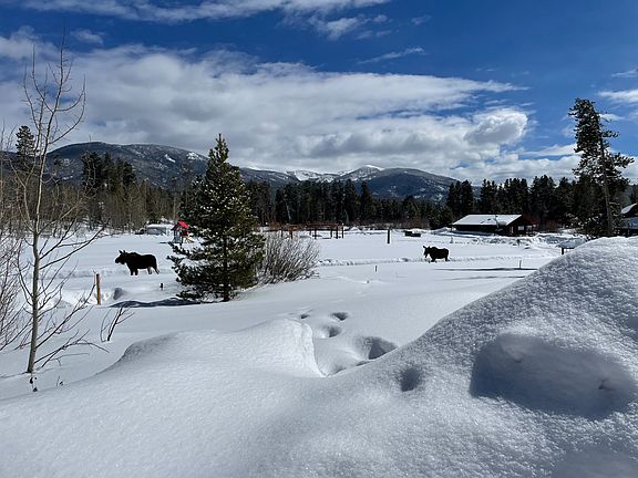 2nd image of 122206 Us Highway 34