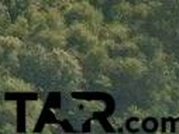 Mole Rd, Winnsboro, TX 75494