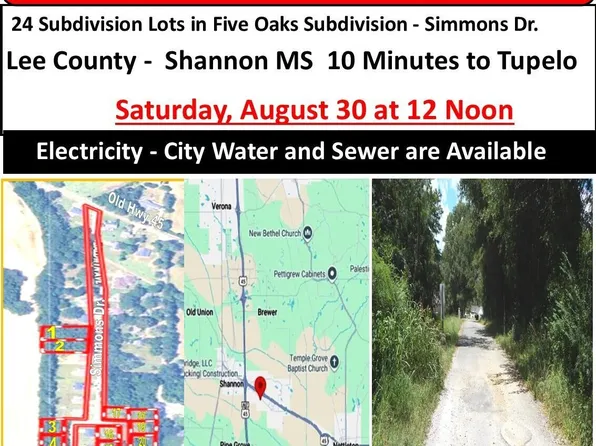 24 Simmons Dr, Shannon, MS 38868