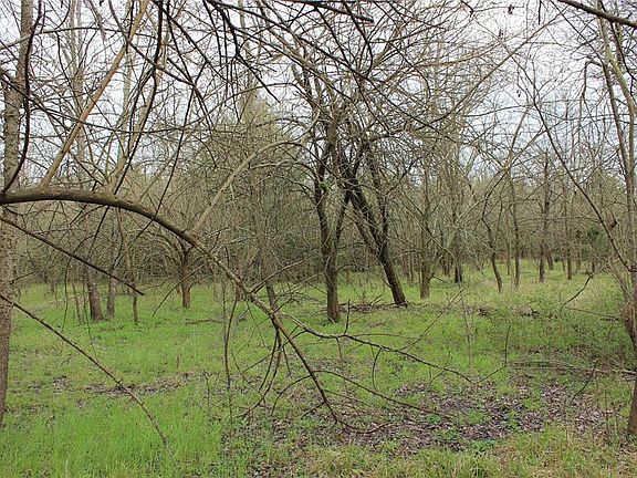 2nd image of County Road 13500