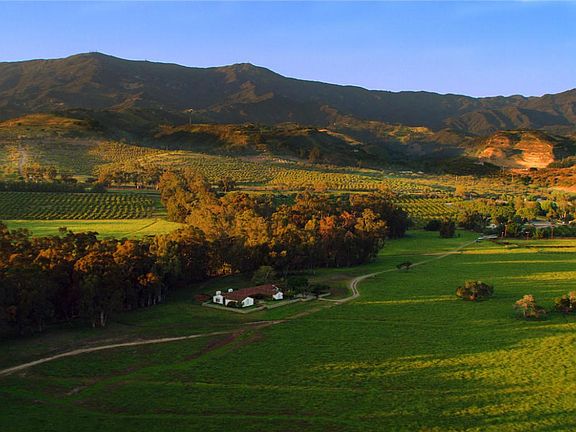 Ariel View - House & Orchards