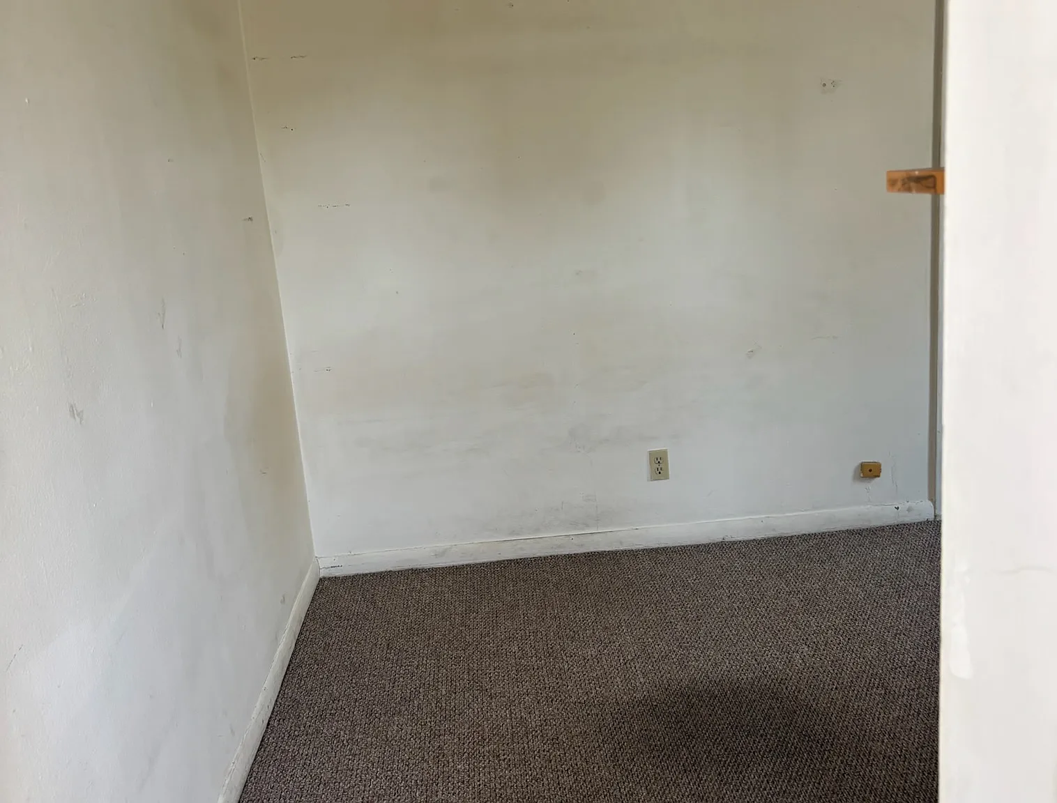 125 East Gorham Street - Unit 102 — Photo 3