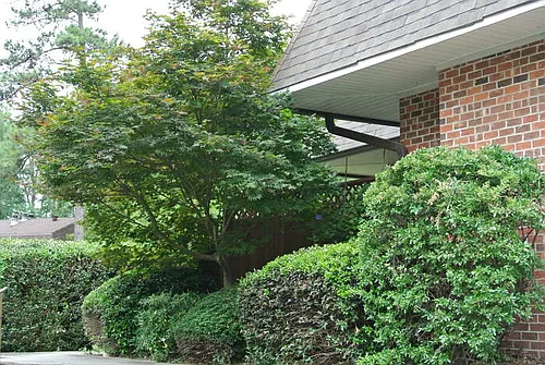 200 Finley Forest Dr Photo 1
