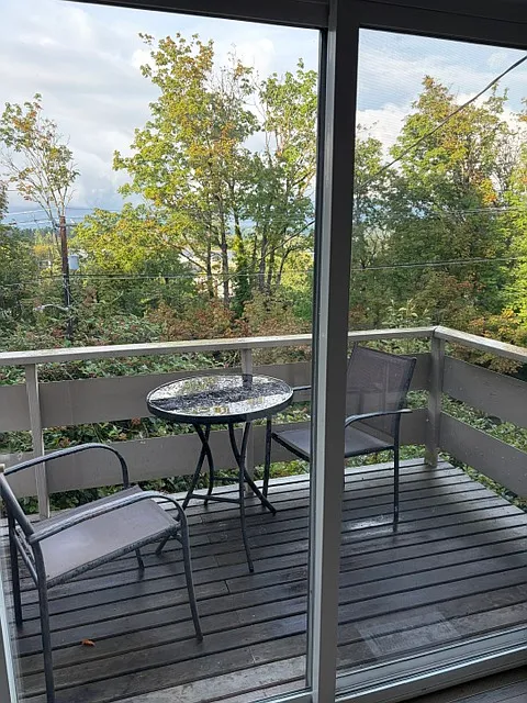 3 bed, 1250 sqft, $2,900 — Photo 4