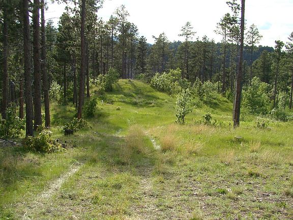 2nd image of LOT 29 Golden Eagle Pl