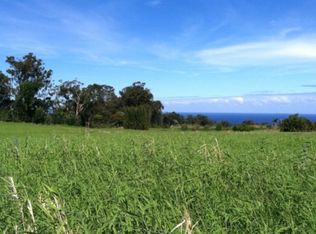 29-362 Chin Chuck Rd LOT 22, Hakalau, HI 96710