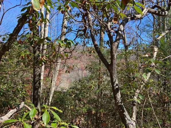 Lot 97 Hickory Drive, Sapphire, NC 28774