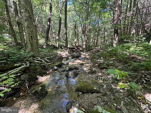 2nd image of 95/ACRE S Laurel Mountain Rd