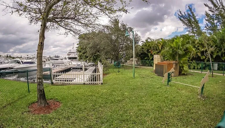 Dog Park