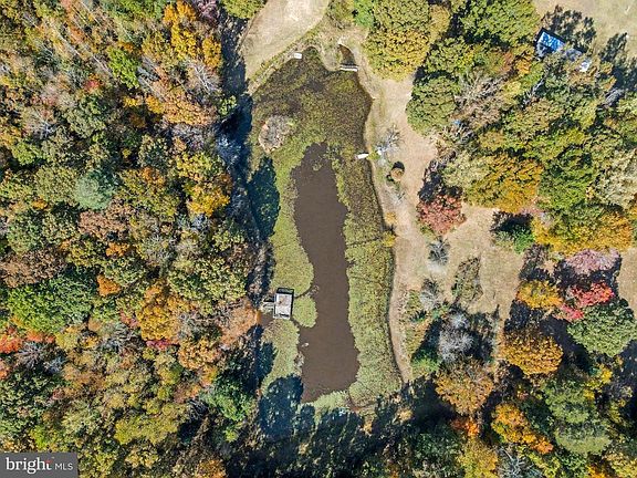 4th image of 28282 Raccoon Ford Rd