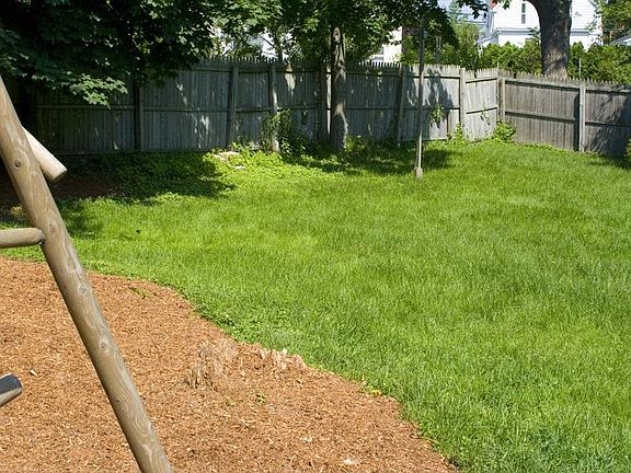 The right side of the yard