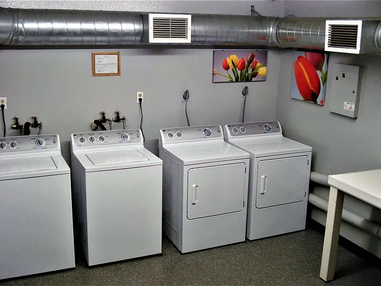 427 Cedar Ave #204 — Photo 8