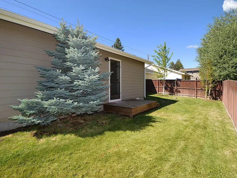 Backyard 2