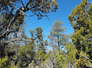 4111 Lone Eagle Ct, Happy Jack, AZ 86024