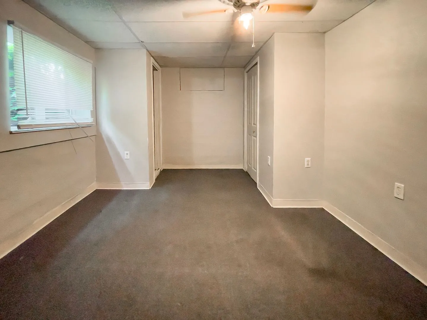 3 Bedroom Home with Hardwood Style Flooring, Close to Campus: In-Unit Washer/Dryer — Photo 3