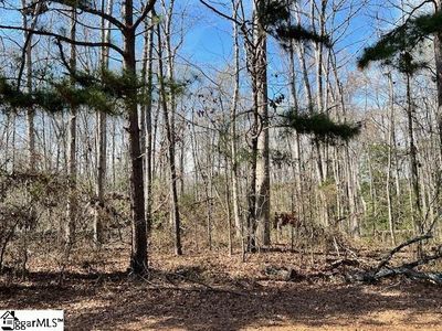 141 Katora Ln, Pelzer SC - Owner Finance Home