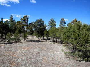 2795 Skyhawk Dr, Overgaard, AZ 85933