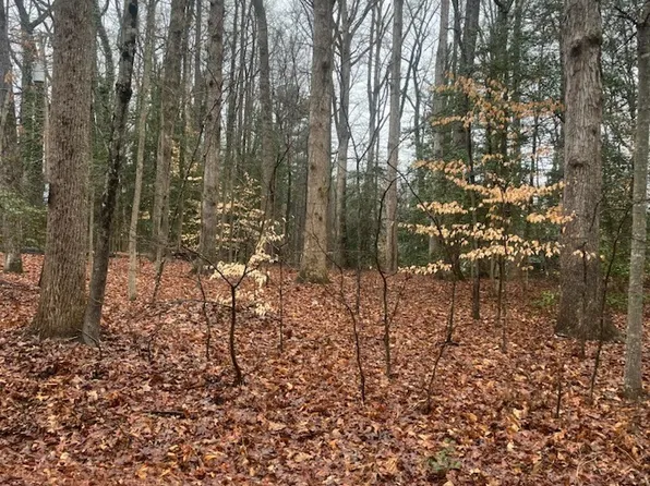 6620 Wilton Rd, Chesterfield, VA 23832