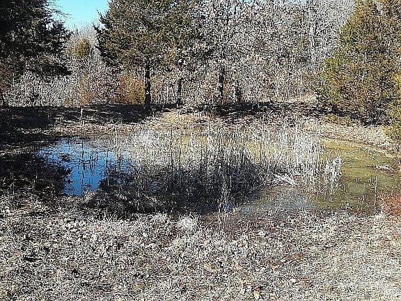 Spring feed pond