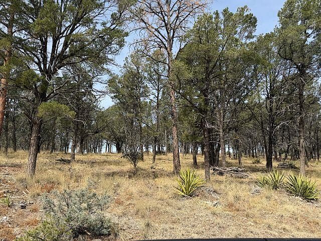 1st image of 49 Eldrado Dr