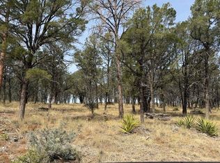 49 Eldrado Dr, Timberon, NM 88350