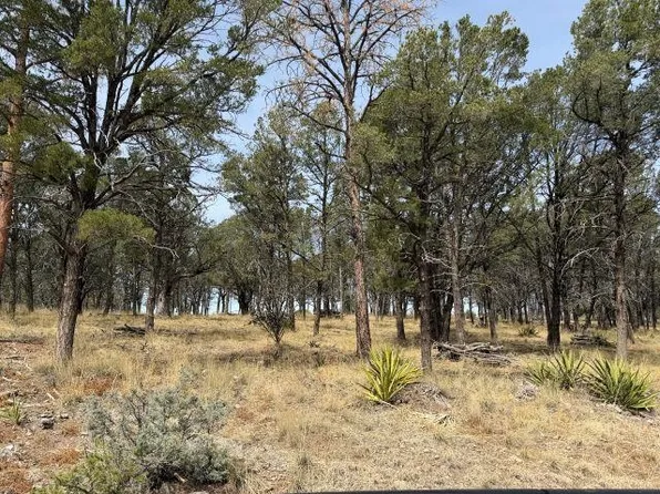 49 Eldrado Dr, Timberon, NM 88350