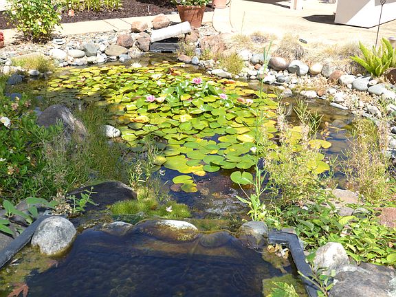4th image of 3148 Mount Tamalpais Dr