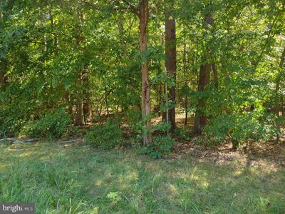 PARCEL 195 Turkey Point Rd, Edgewater, MD, 21037