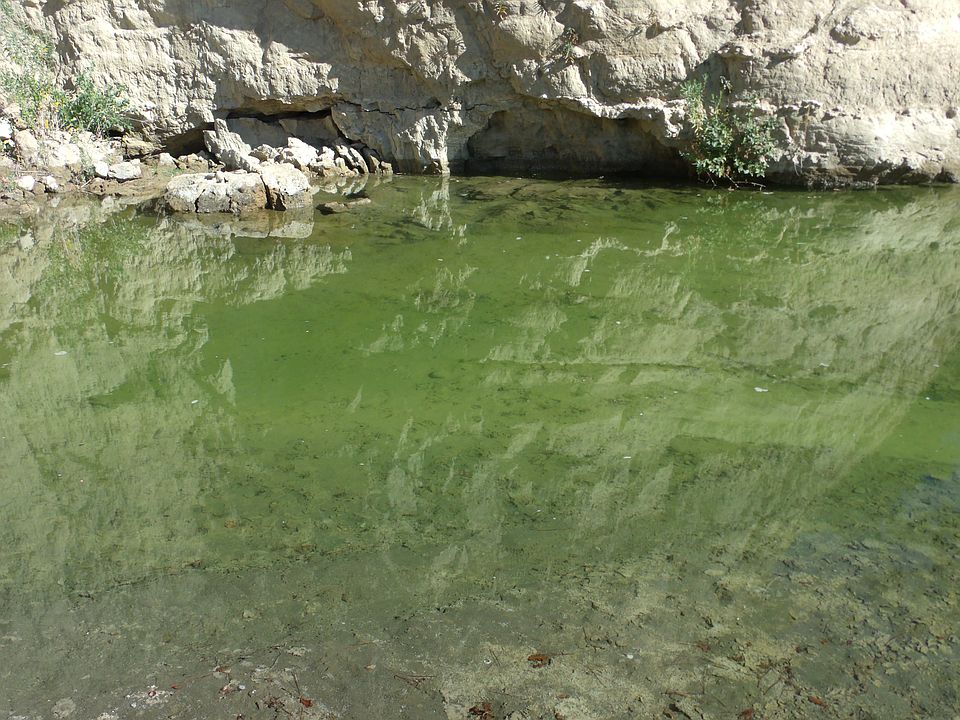 1st image of 17150 Elder Creek Cir