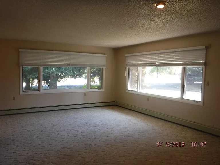 8731 Haggerty Ln — Photo 10