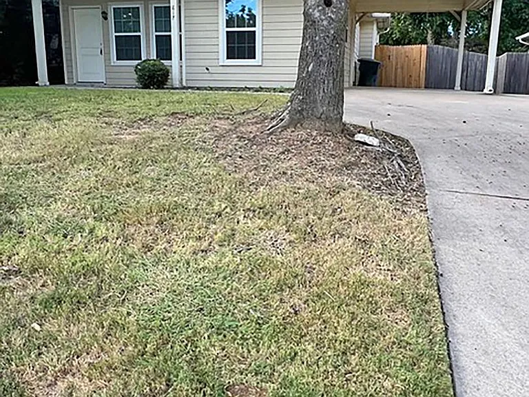 817 W Lamar St — Photo 21