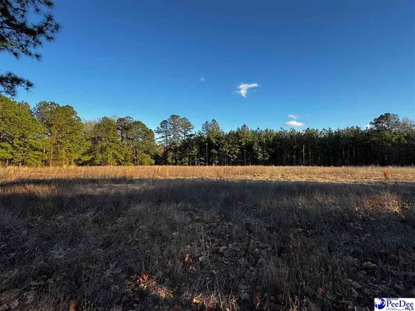 Lexyryan Ct, Latta, SC 29565