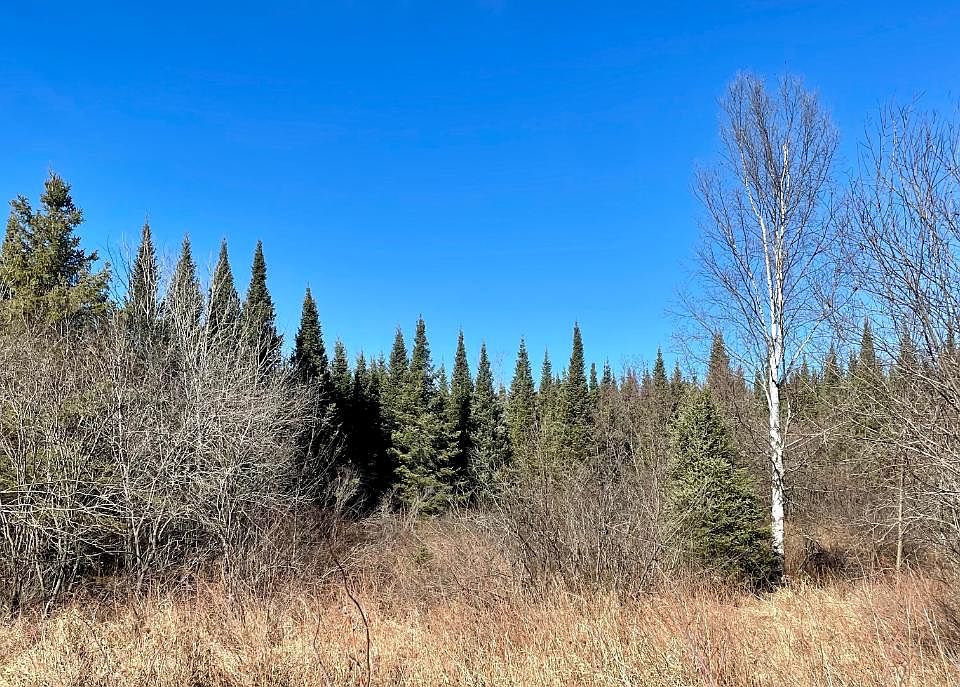 N1559 Bjorklund Rd, Ogema, WI 54459 Zillow