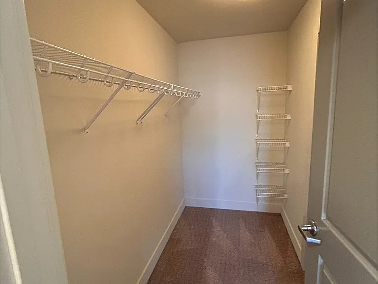 Primary Closet