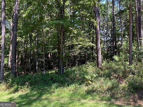 5th image of 1101 Anchor Bay Cir