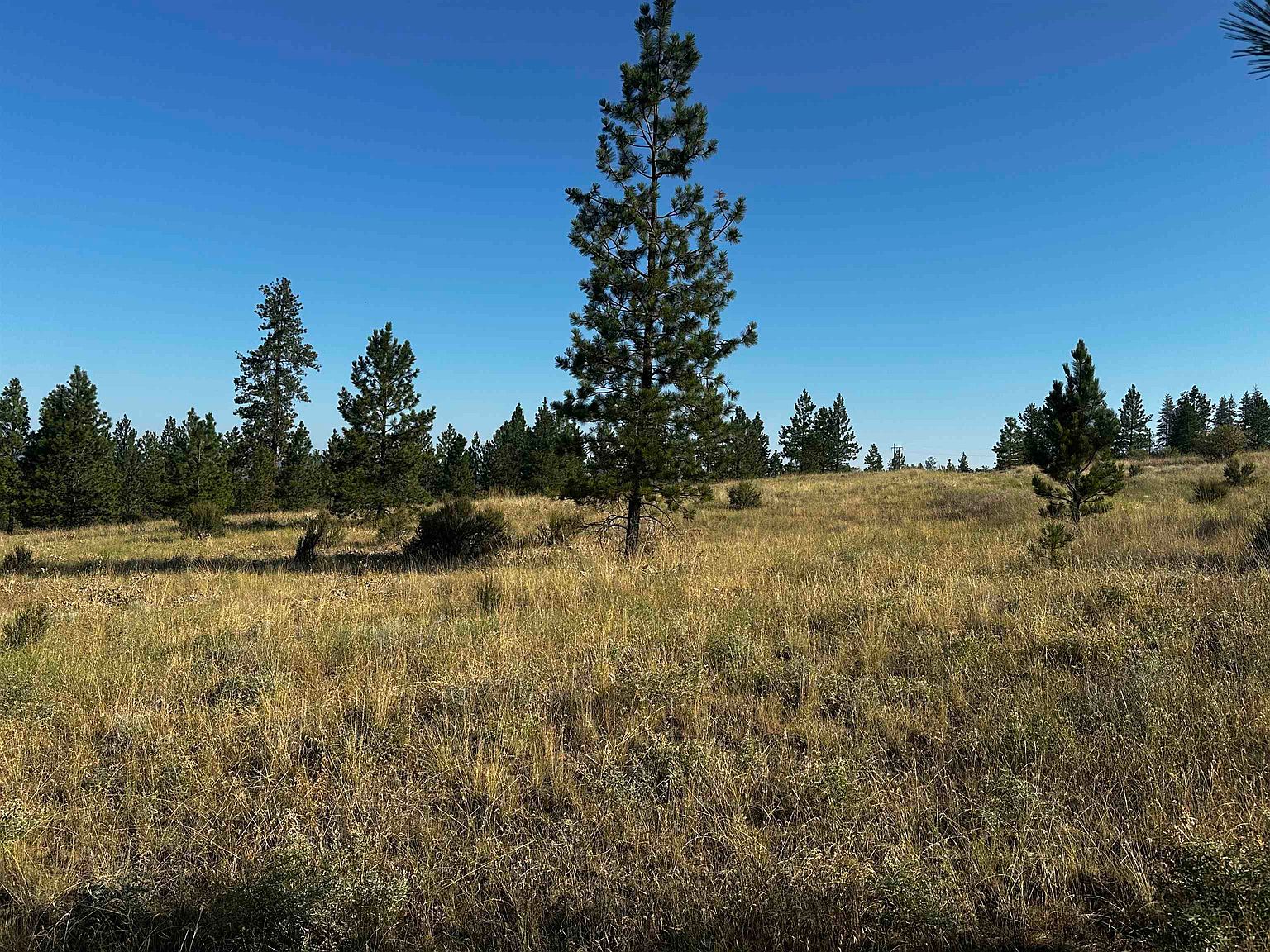 36295 State Route 231 N, Reardan, WA 99029 | Zillow