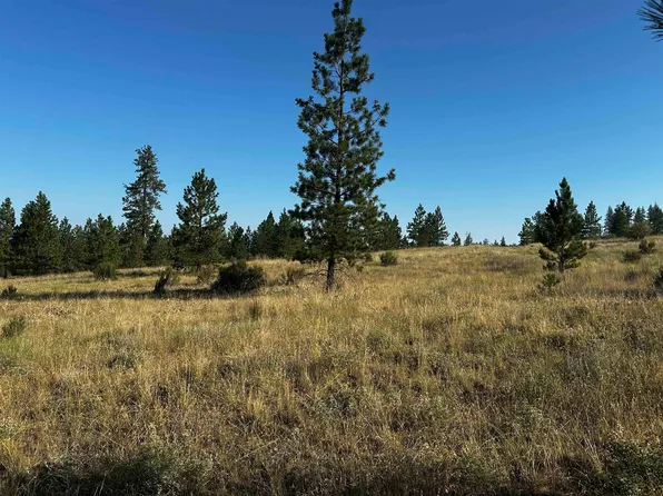 36295 State Route 231 N, Reardan, WA 99029