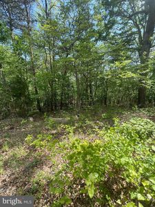 427 Long View Dr, Luray, VA, 22835