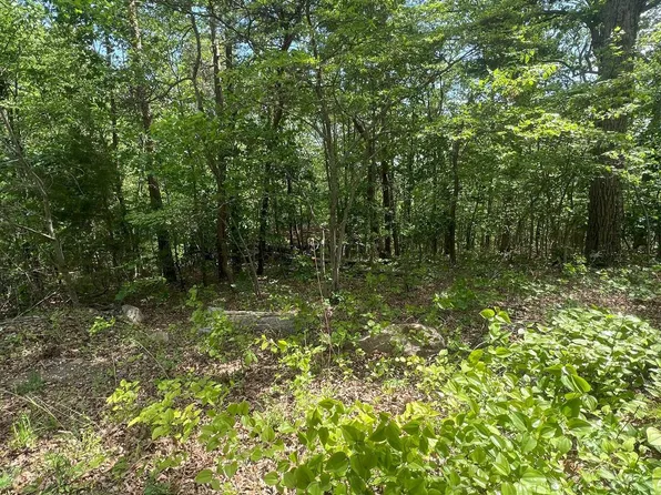 427 Long View Dr, Luray, VA 22835