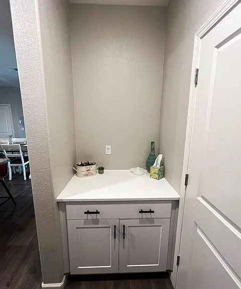 Cabinet Near Garage